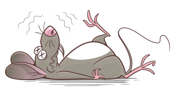 Dead Rat Clipart - KibrisPDR