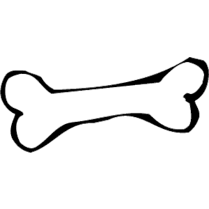 Detail Knochen Clipart Nomer 5
