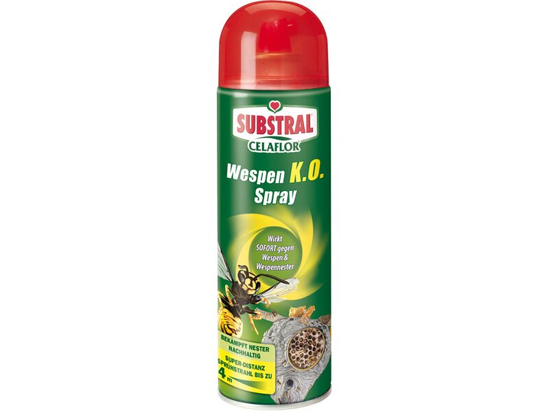 Detail Rossmann Raid Spray Nomer 13