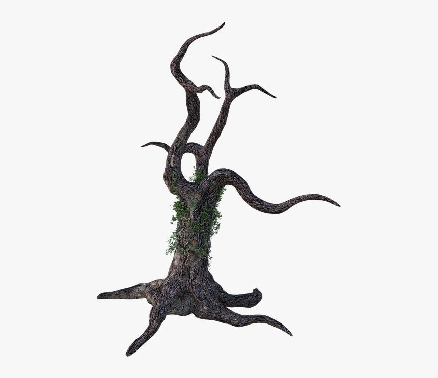 Detail Tree Concept Art Nomer 19