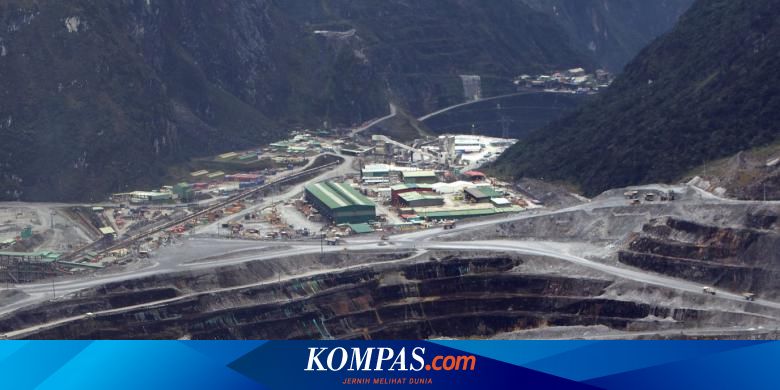 Detail Gambar Pt Freeport Papua Respon Pemerintah Terhadap Freeport Jonan Nomer 5