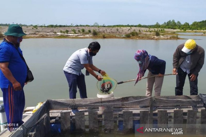 Detail Gambar Pt Timah Bangka Nomer 51