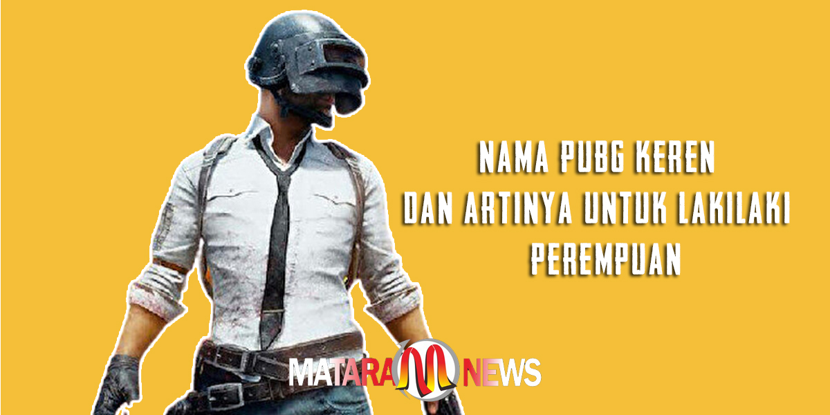 Detail Gambar Pubg Keren Nomer 54