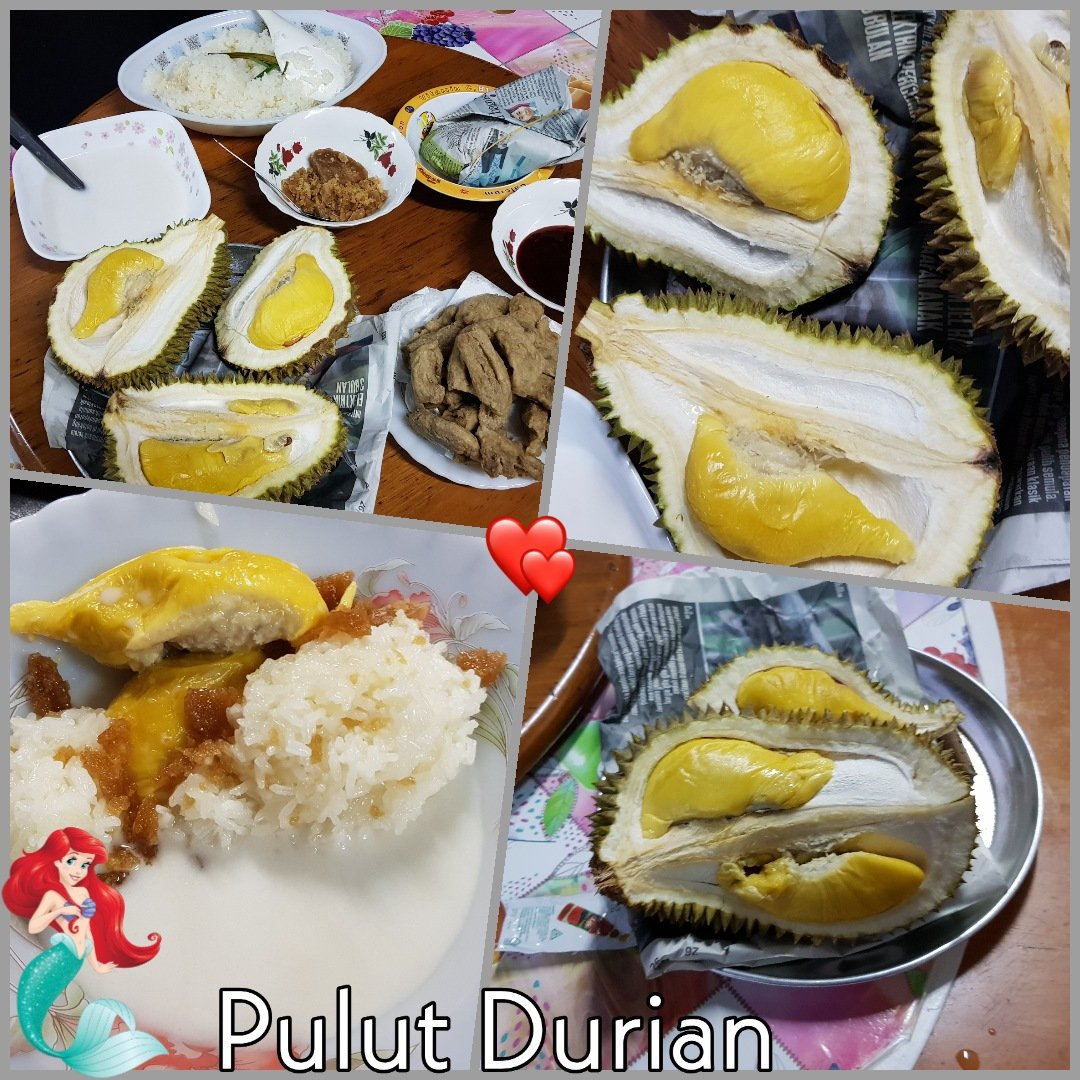 Detail Gambar Pulut Durian Nomer 50
