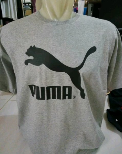 Detail Gambar Puma Keren Nomer 44