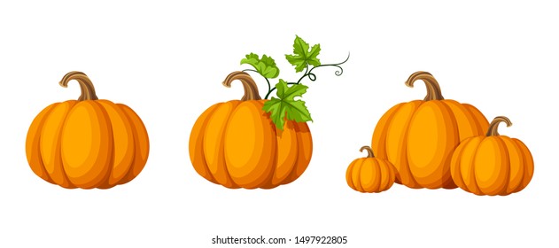 Gambar Pumpkin - KibrisPDR