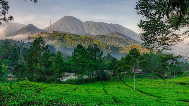 Gambar Puncak Bogor - KibrisPDR