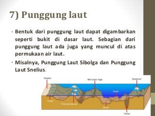 Detail Gambar Punggung Laut Nomer 11