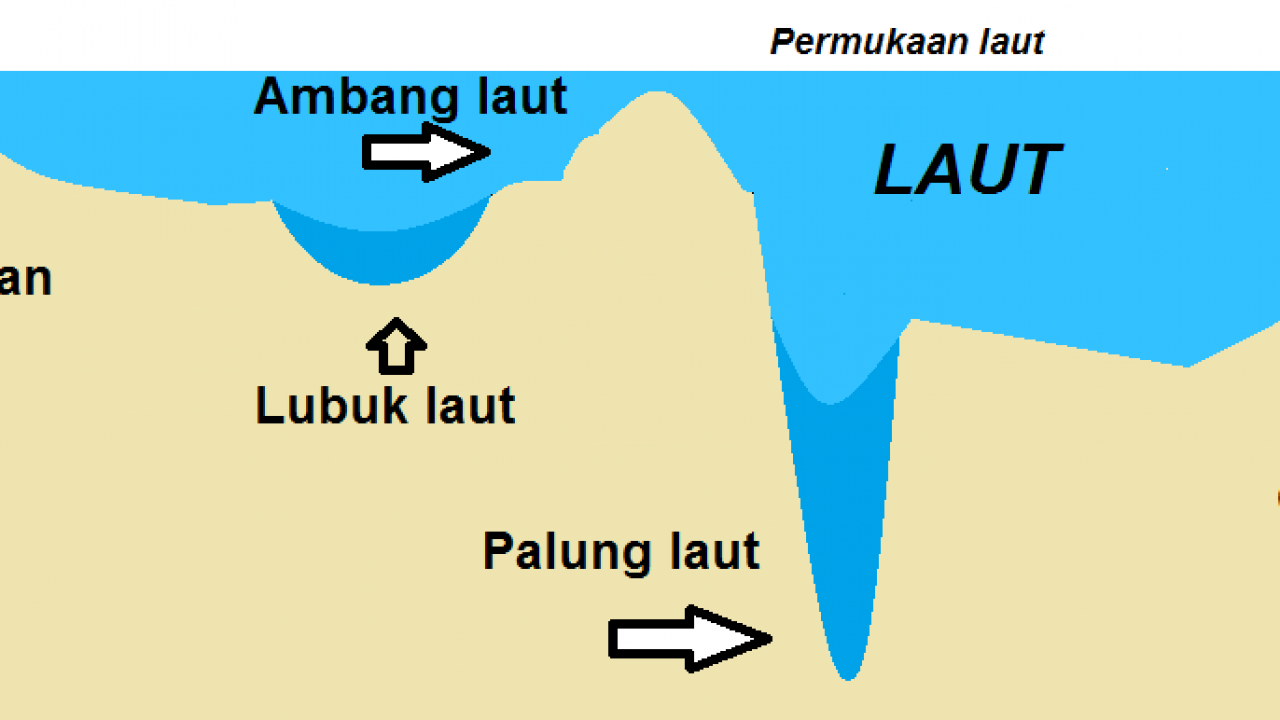 Detail Gambar Punggung Laut Nomer 12