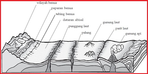 Detail Gambar Punggung Laut Nomer 23