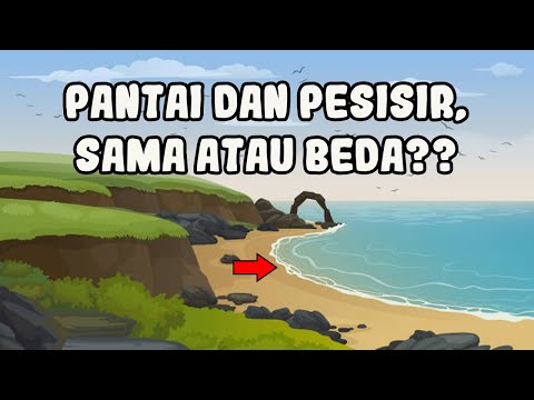 Detail Gambar Punggung Laut Nomer 40