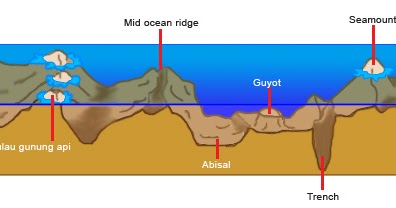 Detail Gambar Punggung Laut Nomer 45