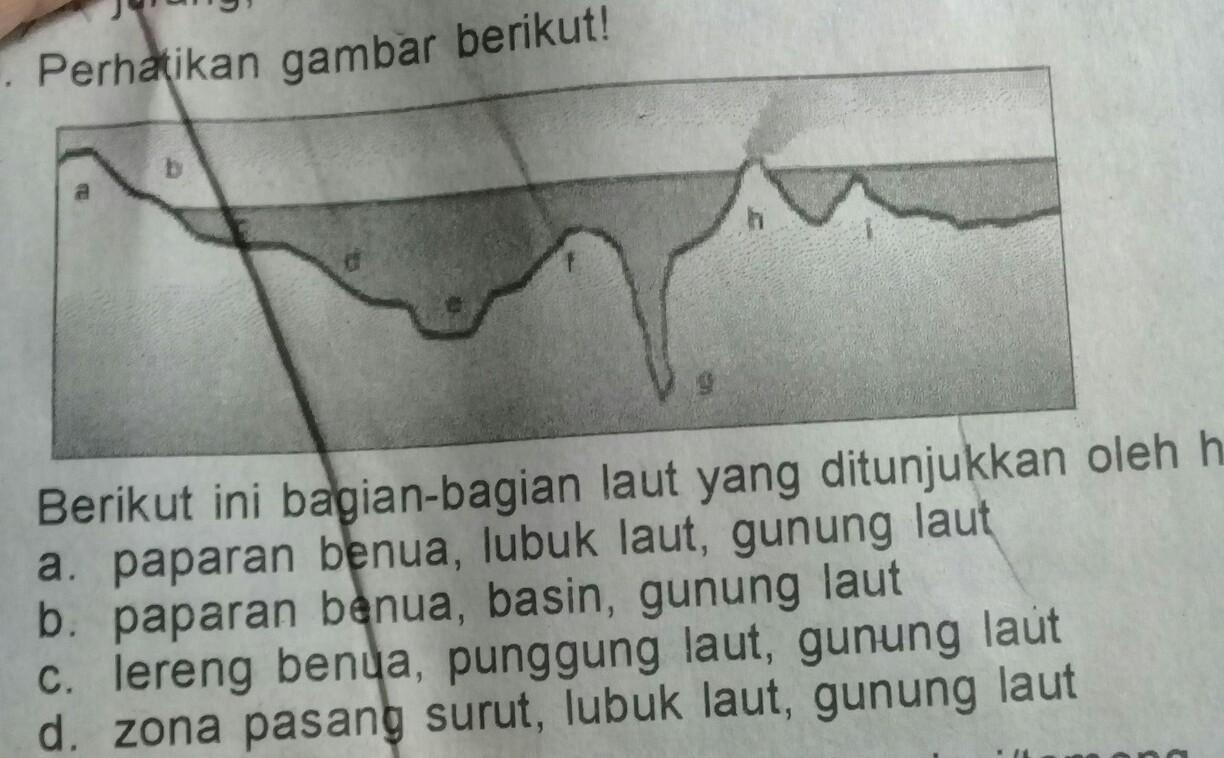 Detail Gambar Punggung Laut Nomer 47