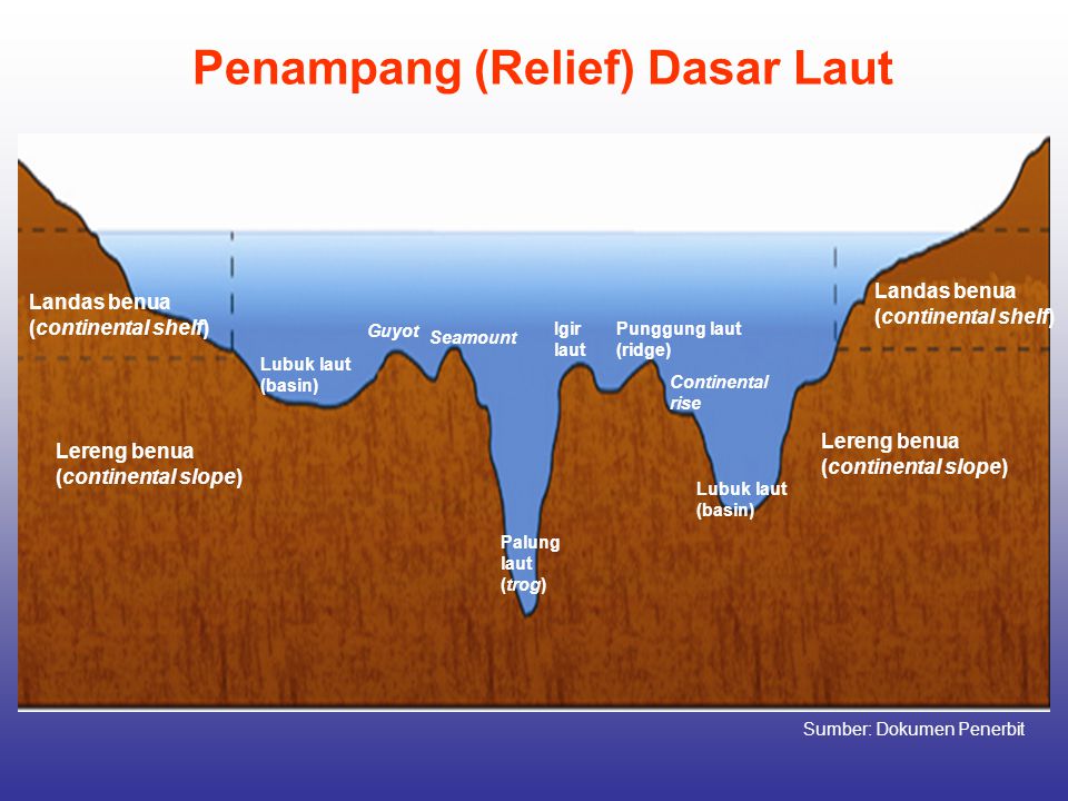 Detail Gambar Punggung Laut Nomer 51