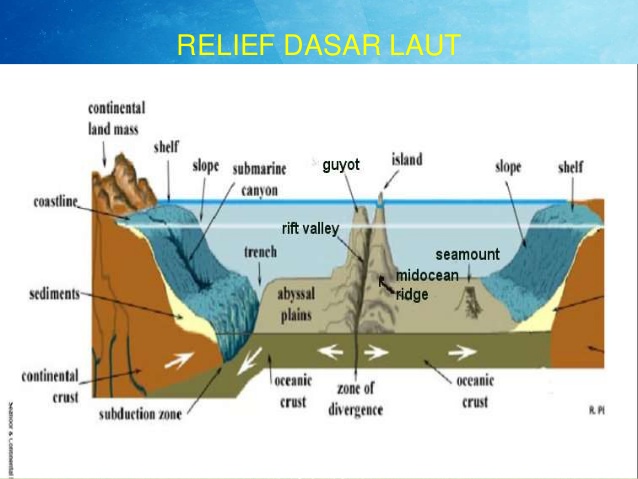 Detail Gambar Punggung Laut Nomer 52