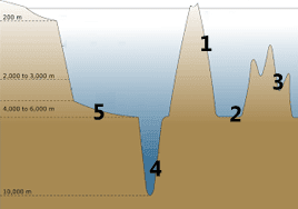 Detail Gambar Punggung Laut Nomer 54