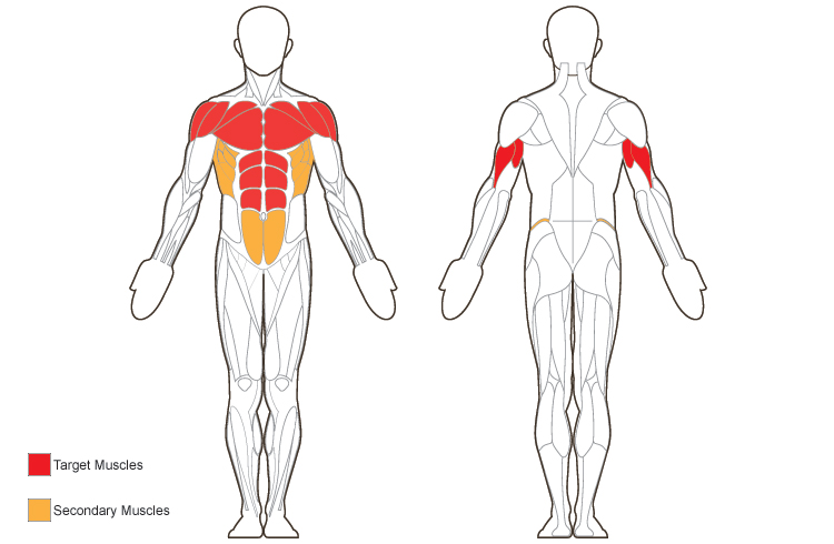 Detail Gambar Push Up Dan Sit Up Nomer 35