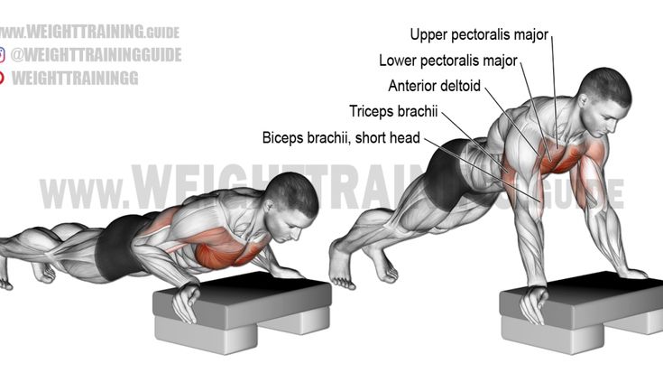 Detail Gambar Push Upsquat Trustpull Up Nomer 55