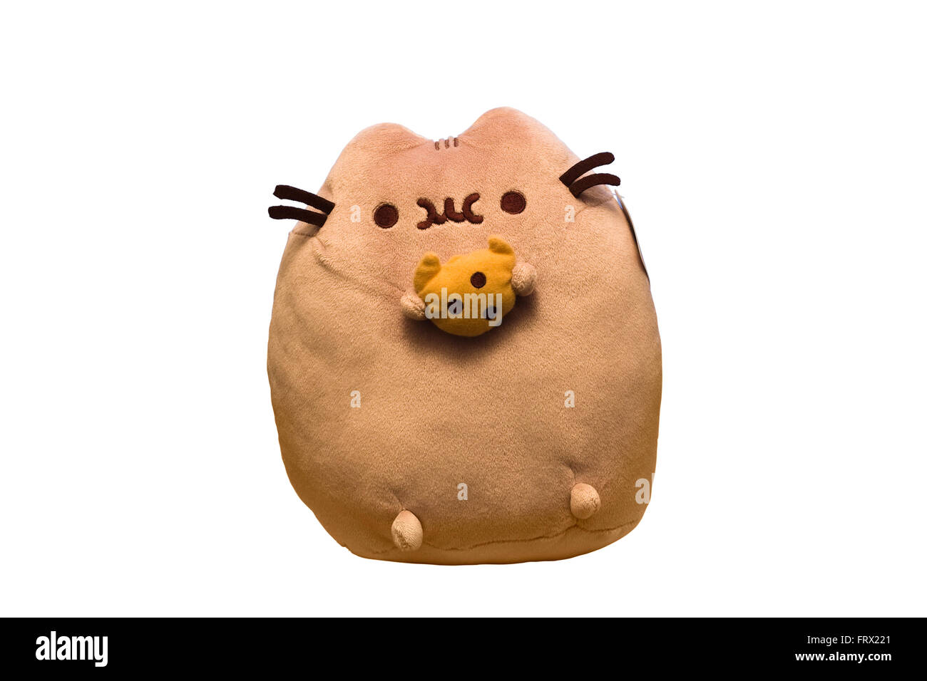 Detail Gambar Pusheen Cat Nomer 51