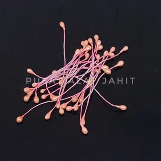Detail Gambar Putik Bunga Nomer 25