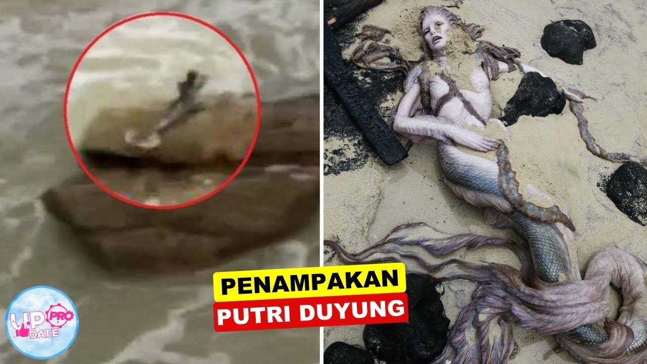 Detail Gambar Putri Duyung Asli Di Dunia Nomer 33