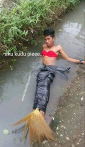 Gambar Putri Duyung Lucu - KibrisPDR