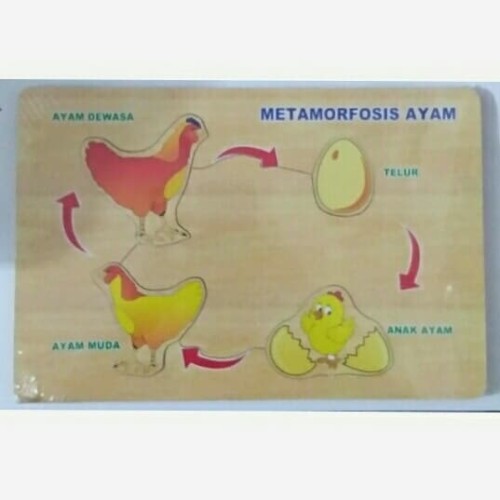 Detail Gambar Puzzle Ayam Nomer 16