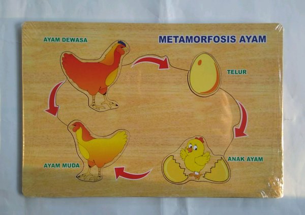 Detail Gambar Puzzle Ayam Nomer 55