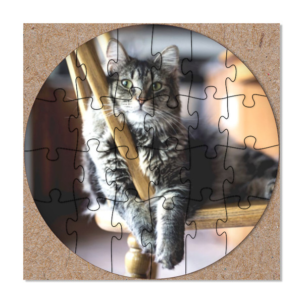 Detail Gambar Puzzle Kucing Nomer 12