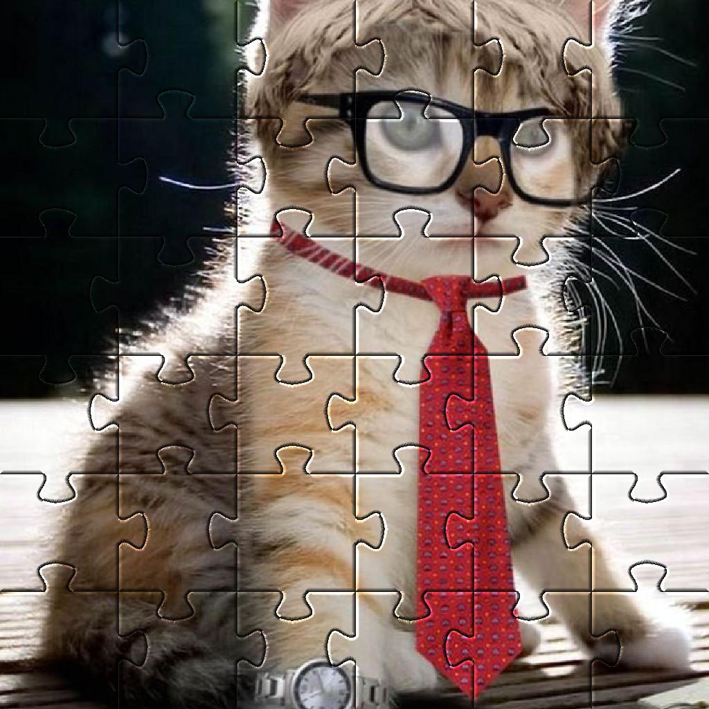 Detail Gambar Puzzle Kucing Nomer 16