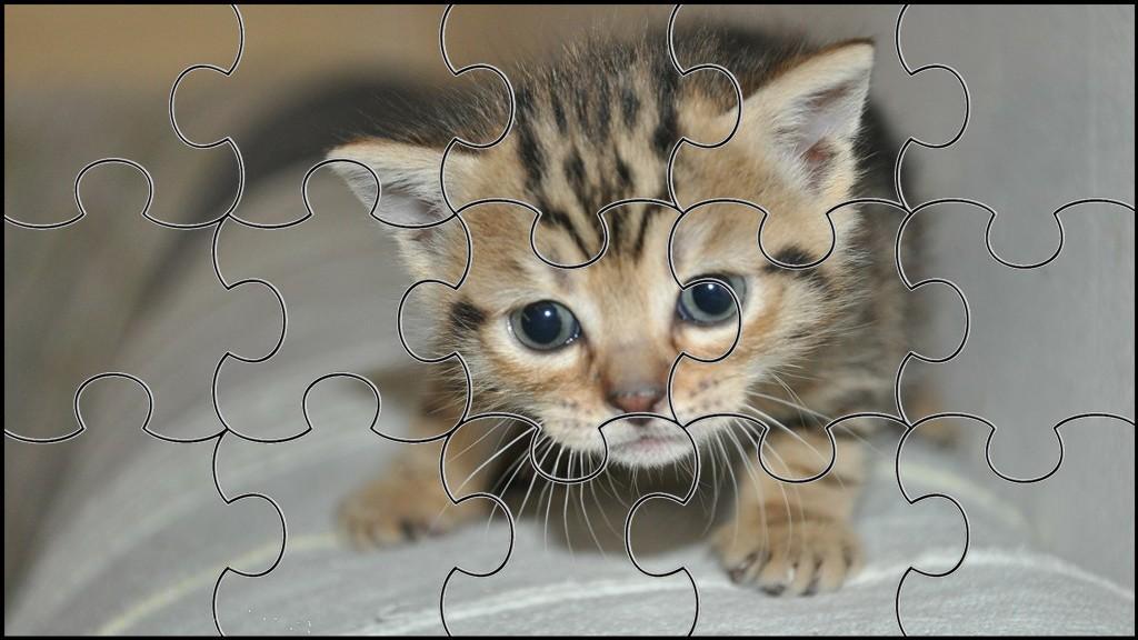 Detail Gambar Puzzle Kucing Nomer 3