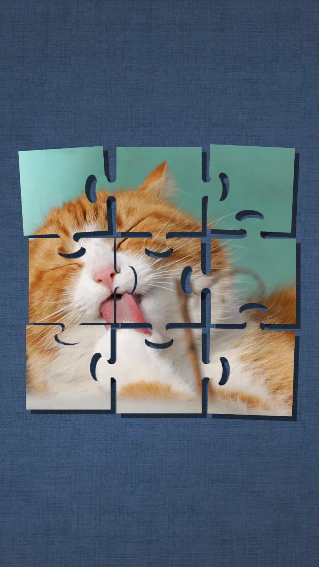 Detail Gambar Puzzle Kucing Nomer 37