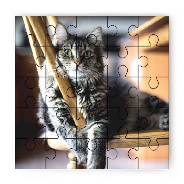 Detail Gambar Puzzle Kucing Nomer 5