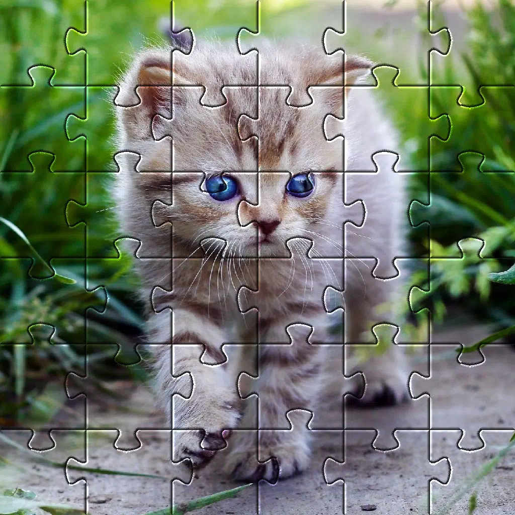 Detail Gambar Puzzle Kucing Nomer 47
