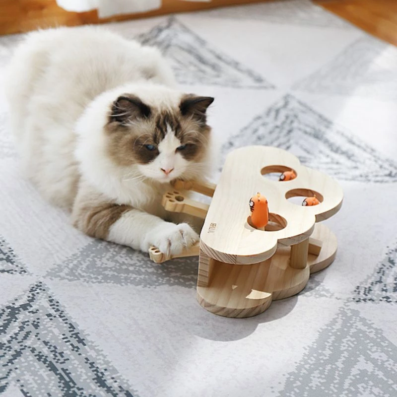 Detail Gambar Puzzle Kucing Nomer 55