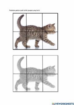 Detail Gambar Puzzle Kucing Nomer 8