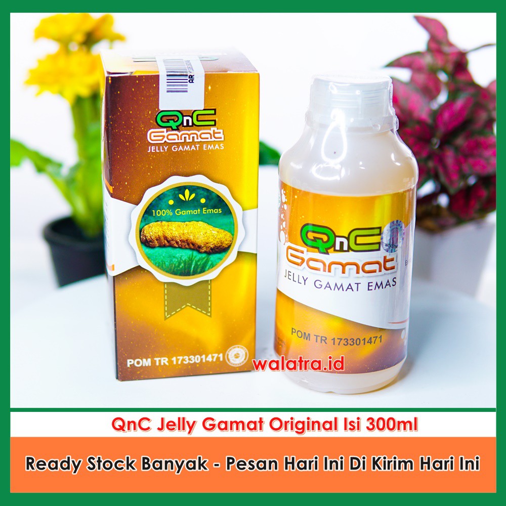 Detail Gambar Qnc Jelly Gamat Asli Nomer 4