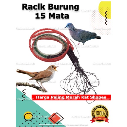 Detail Gambar Racik Burung Nomer 52