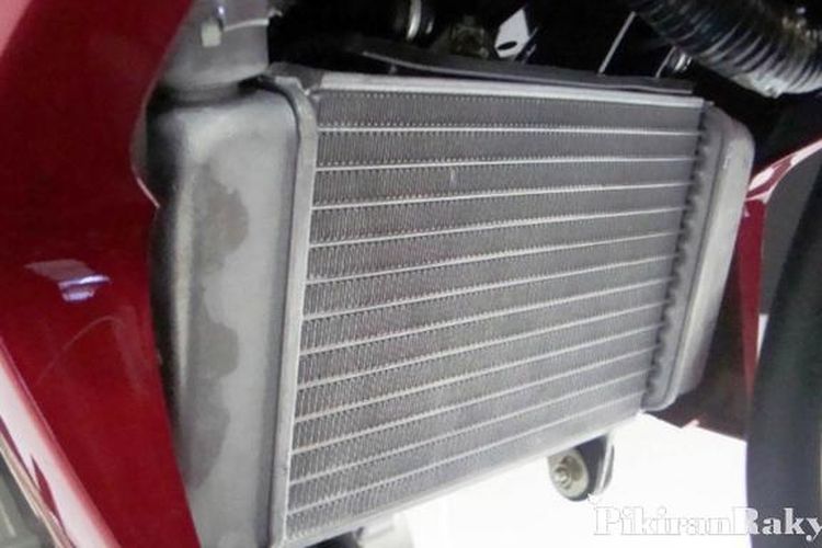 Detail Gambar Radiator Vixion Nomer 12