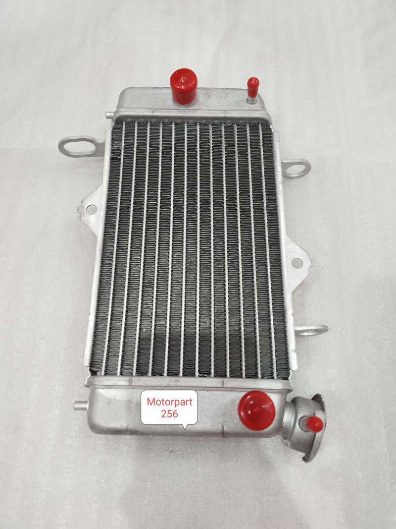 Detail Gambar Radiator Vixion Nomer 20