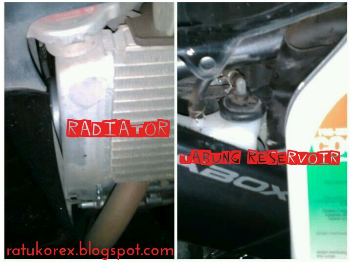 Detail Gambar Radiator Vixion Nomer 49