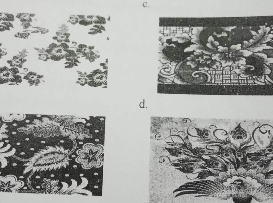 Detail Gambar Ragam Fauna Nomer 53