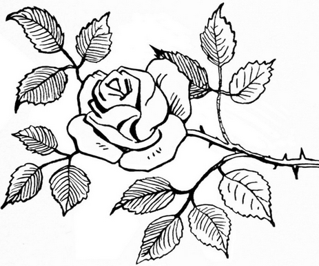 Detail Gambar Ragam Hias Flora Bunga Mawar Nomer 4