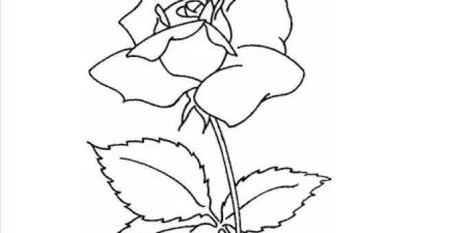 Detail Gambar Ragam Hias Flora Bunga Mawar Nomer 50