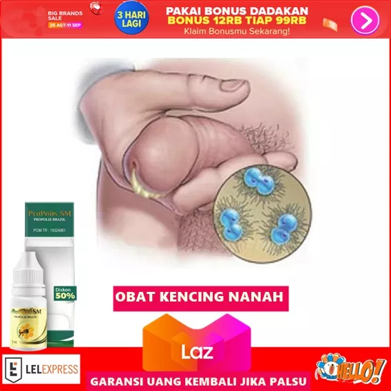 Detail Gambar Raja Singa Nomer 26
