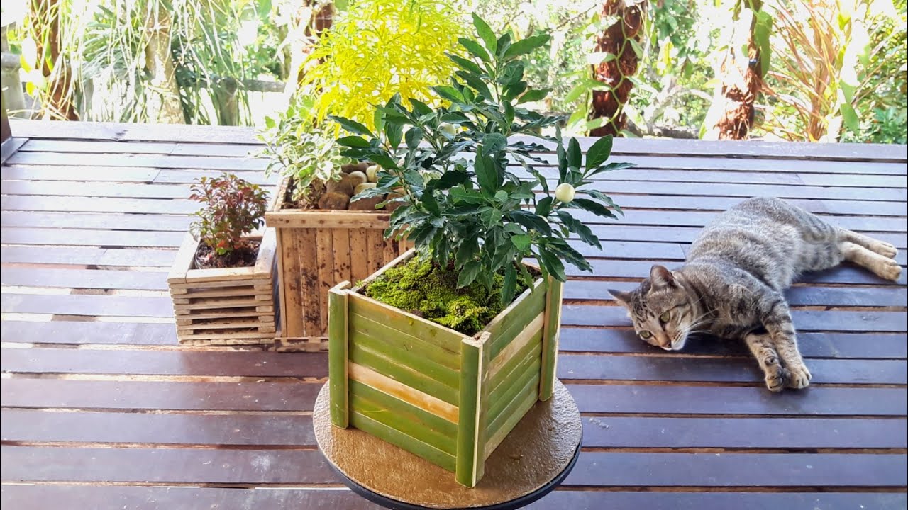 Download Gambar Rak Pot Bunga Dari Bambu Nomer 39