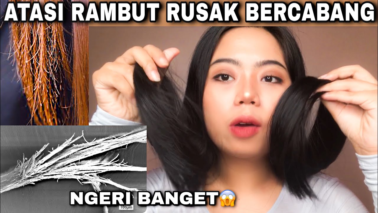 Detail Gambar Rambut Bercabang Nomer 53