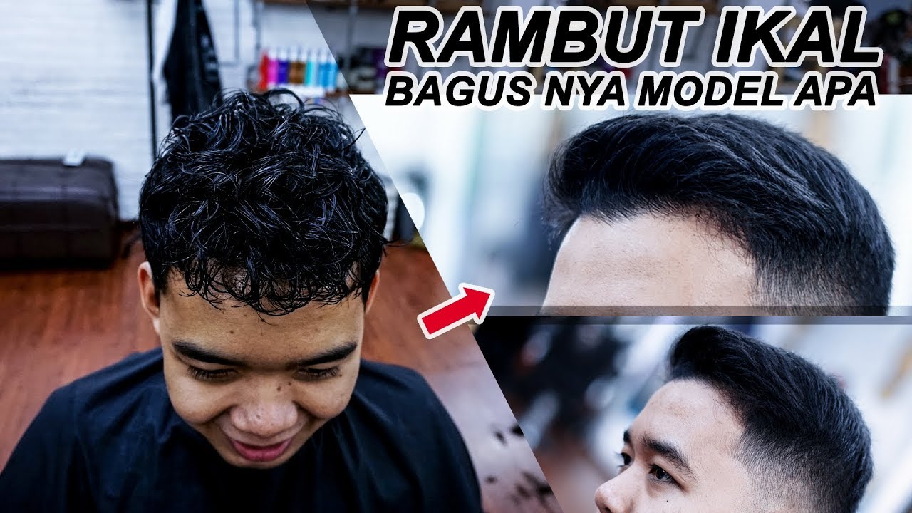 Detail Gambar Rambut Ikal Nomer 37