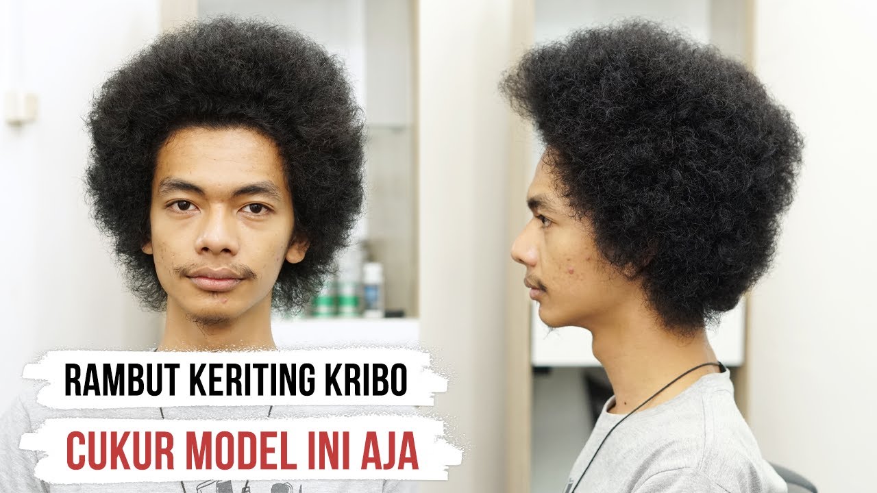 Detail Gambar Rambut Kribo Nomer 9