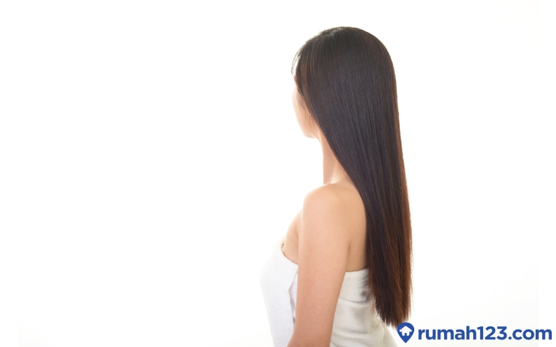 Detail Gambar Rambut Panjang Nomer 35